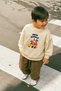 Boy's Printed 3 Thread Fabric Cotton Sweatshirt
