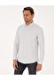 Gray Flexible Slim Fit Striped Long Sleeve Shirt 50307162-Vr024 - 3