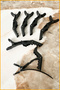 Alligator Hair Claw - Clip, Dragon Collet Hairdresser, Barrette, Makeup Blow Wave Hair Holder