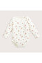 Woodland Body 3-Piece Box - 4