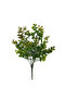 Artificial Eucalyptus Plant 38 cm Green - Brown - 3