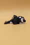 Orca Whale Movable Keychain Bag Ornament Charm (Killer Whale) - 2