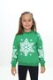 Grass Green Girls' Relax Fit Crew Neck Drop Shoulder Printed Sweatshirt - 2 Thread