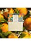 Mediterannean Perfumed Soap Citrus Riviera 150G - 4