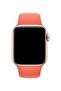 حزام بديل لساعة Apple iWatch مقاس 42.44 مم Clementine - 3