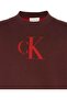 Ls Cttn Cashmere 3D Logo Crwnk Burgundy Men's Sweatshirt - 2