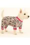 Small Breed Rabbit Fleece Winter Dog Jumpsuit Dog Outfit Cat Outfit (1-10kg) - 3