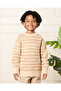 Boys Brown Striped Jumper