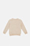 Infant Boys Beige Camping Embroidery Pullover - 4