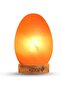 Himalayan Salt Lamp - Egg Shape
