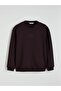 Crew Neck Printed Men's Thick Sweatshirt - 5