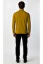 Amber Standard Fit Slim Fit Polo Collar Buttoned Plain Long Sleeve Knitwear - 4