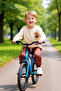 Boys' Cotton Knitted Crew Neck Regular Fit Sweatshirt and Sweatpants Set Quality Stylish - 2