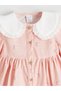 Baby Girl Peter Pan Collar Floral Velvet Dress