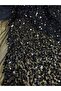 Sequin Fabric (Looks Like Sequins and Beads on Tulle) - 2