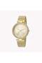 Women's Gold Stainless Steel Watch, Champagne Dial | Es1l215m0035