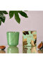 In the Shade of the Fig Tree Candle 180g - 2