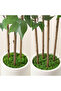 180cm Ficus Artificial Tree – Natural Trunk & Lifelike Leaves. Chic Ramadan home/office decor. - 4