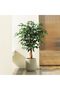120CM Artificial Ficus Tree: Natural Trunk, Lifelike Leaves. Ramadan decor & housewarming gift. - 2