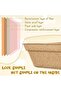 Disposable Cat Litter Basin [Size – 40 x 30 x 10 cm] pack of 4 - 4