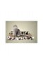 Cat Scratcher with Wall 500x260x115mm - 3