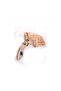 Plastic Dog Muzzle (XS)