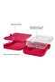 - Elite Mini 4 Compartment Leakproof Lunchbox - Lovable Koala - 3