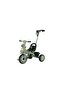 Dino Smart Plug & Play Tricycle with Free Wheel Pedal and Adjustable Push Handle - Green