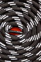 Tracksuit and Sweatshirt Hood Rope 130 cm Round Lacing Black-White, 1 Piece - 3