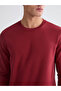 Shining Choices from Shining Store Zero Roba Collar Men's Thick Sweatshirt - 4