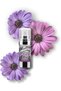 Global Dna Essence Intensive Eye Contour Serum - 2