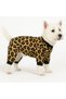 Small Breed Leopard Detailed Winter Dog Jumpsuit Dog Outfit (1-10kg) - 3
