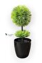 Black Cobalt Ida 25 cm Mini Top Boxwood - 5