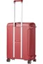 Tribus Suitcase 69 cm or 25 inch Spinner Polypropylene Red 3 Point Locking - 2