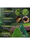 Seven Green Soap ,Nature, Triangle Shampoo Bar, “Original with QR code" - 4