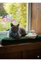 Halloween Pattern Triangle Cat Scarf Bandana - 2