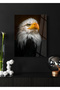 Bald Eagle Cam Tablo - Dekoratif Cam Tablo - 2