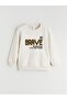 Crew Neck Printed Boy's Thick Sweatshirt
