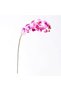 Orhidee artificială Fuchsia 75cm - 2