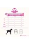 Cat-Dog Outfit Crazy Teddy Bear - Large Breed - 4