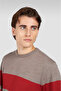 MEN'S KNITTED ROUNDNECK C.WWOOL - 4