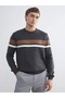 LCWAIKIKI Classic Crew Neck Long Sleeve Striped Men's Knitwear Sweater - 2