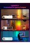 OE1 AI Floor Lamps, Smart Corner Floor Lamp Alexa Google Compatible, Color Changing Led Standi - 2