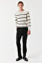 Men's Crew Neck Striped Knitwear - 7