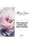 Miss Dior Blooming Bouquet Eau de Toilette for Women by Dior, 50ml - 4