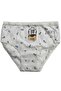 12-Pack 100% Cotton Breathable Fabric Floral High-Waisted Women's Bikini Brief OZT121 - 4