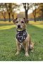 Cool Dog Motif Pattern Triangle Scarf Bandana with Tie - 2