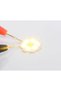 LED Cob 28mm - 10W, Warm/Cold Light - 3