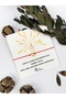 3Pcs Packaged Teacher's Day Gift Teacher Bracelet Educational Bracelet with Gift Card