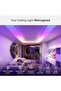 Smart LED Ceiling Lights (Skylight Expansion (1 PK)) - 2